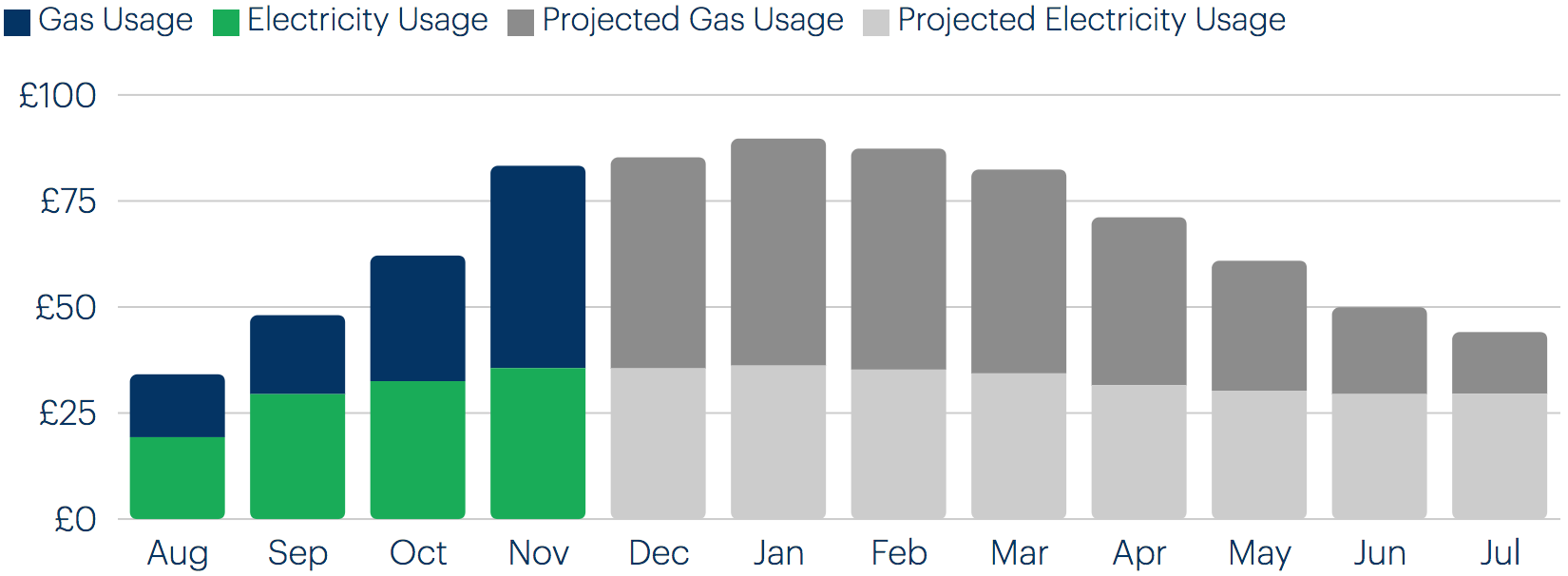 Bar chart showing electricity and gas usage over a 12 month period